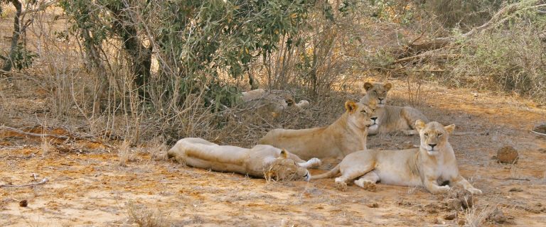 2 days_tsavo_east_west