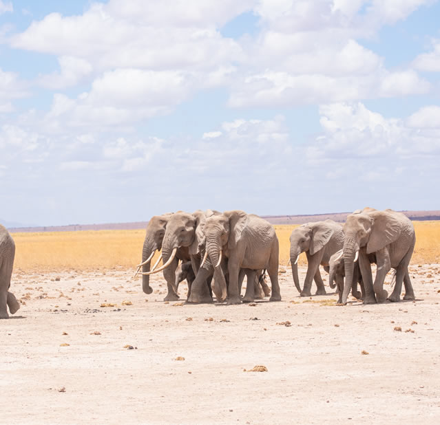 3 Days 2 nights Amboseli2