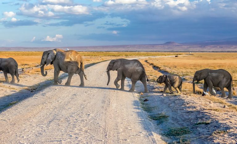 4-Day Safari in Tsavo East, Amboseli & Tsavo West – Big Five & Scenic Views