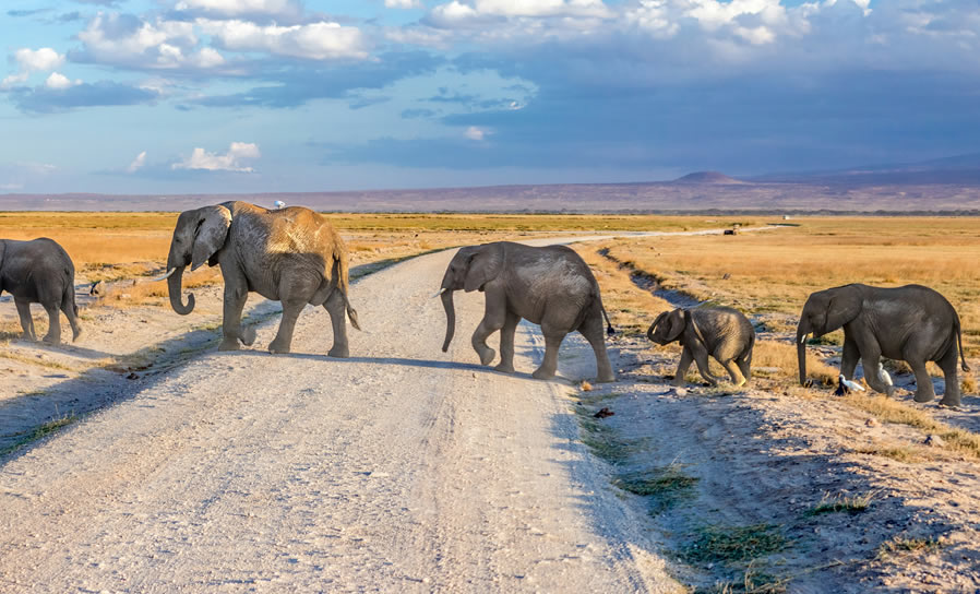 4-Day Safari in Tsavo East, Amboseli & Tsavo West – Big Five & Scenic Views