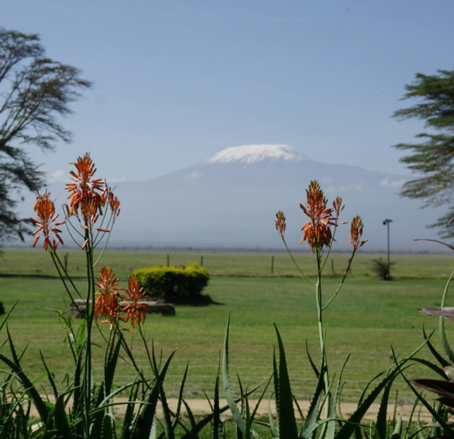 4 Days Tsavo West, Amboseli & Tsavo East1
