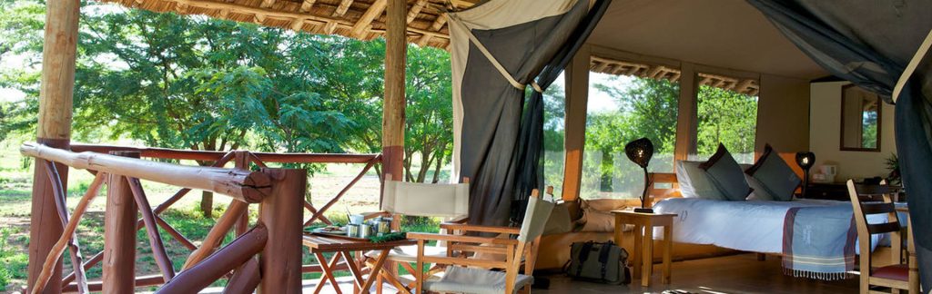 6-day Tsavo West, Ziwani, Amboseli, and Maasai Mara safari,