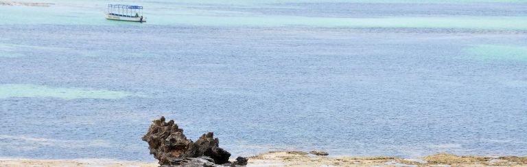 Malindi Safari Blue – Overview3